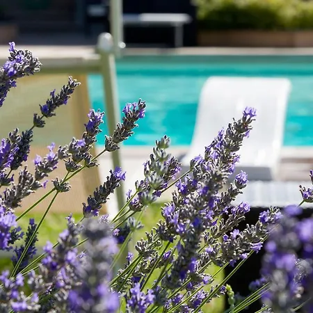 Relais Jacopone Oda ve Kahvaltı Floransa